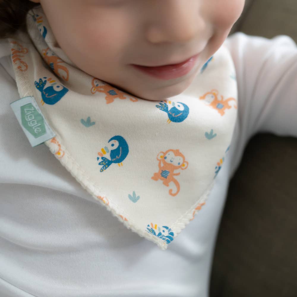 Monkeys and Toucans bib