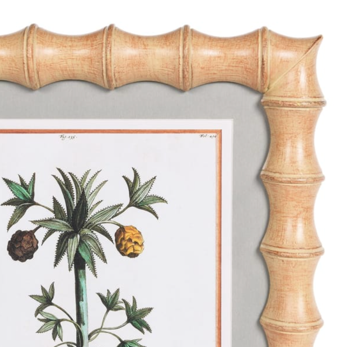 Bamboo Style Frame