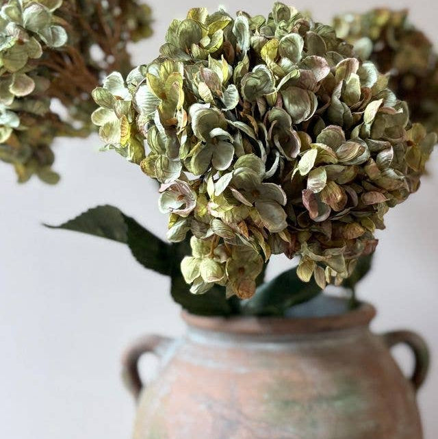 Vintage Hydrangea - Sage Green