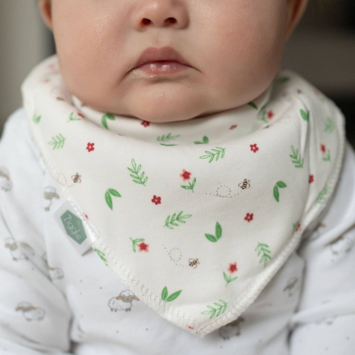 Flowers and Ferns Bib