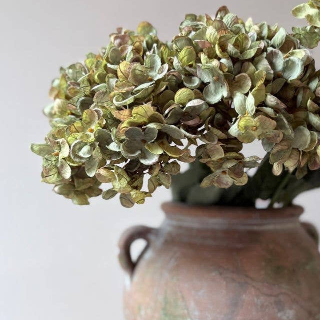 Vintage  Hydrangea - Sage Green
