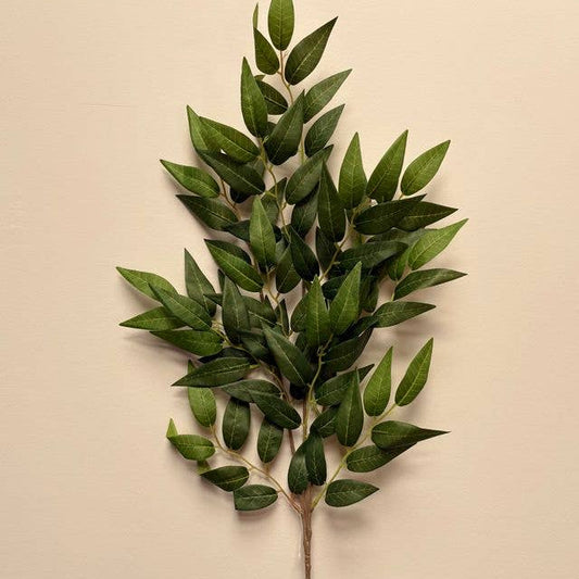 Green Ruscus Stem