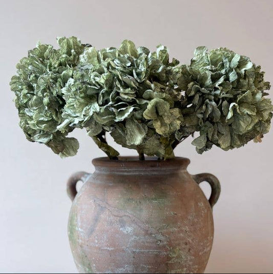 Vintage Hydrangea - Green