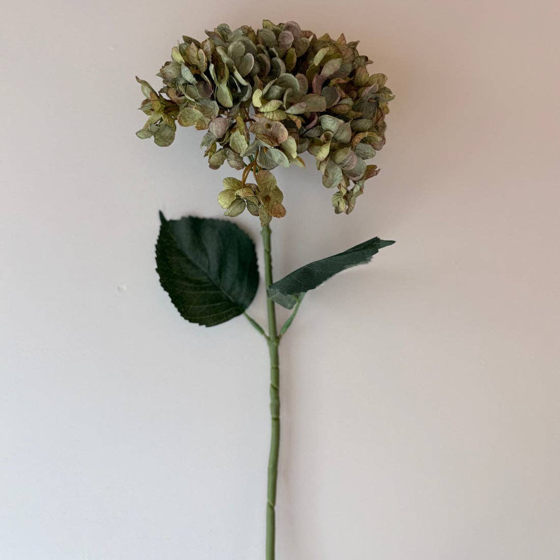 Vintage  Hydrangea - Sage Green