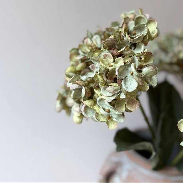 Vintage  Hydrangea - Sage Green