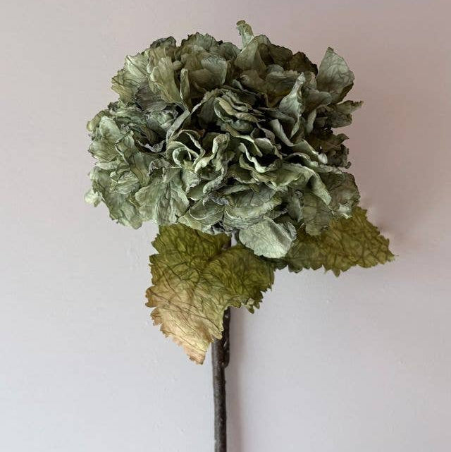 Vintage Hydrangea - Green