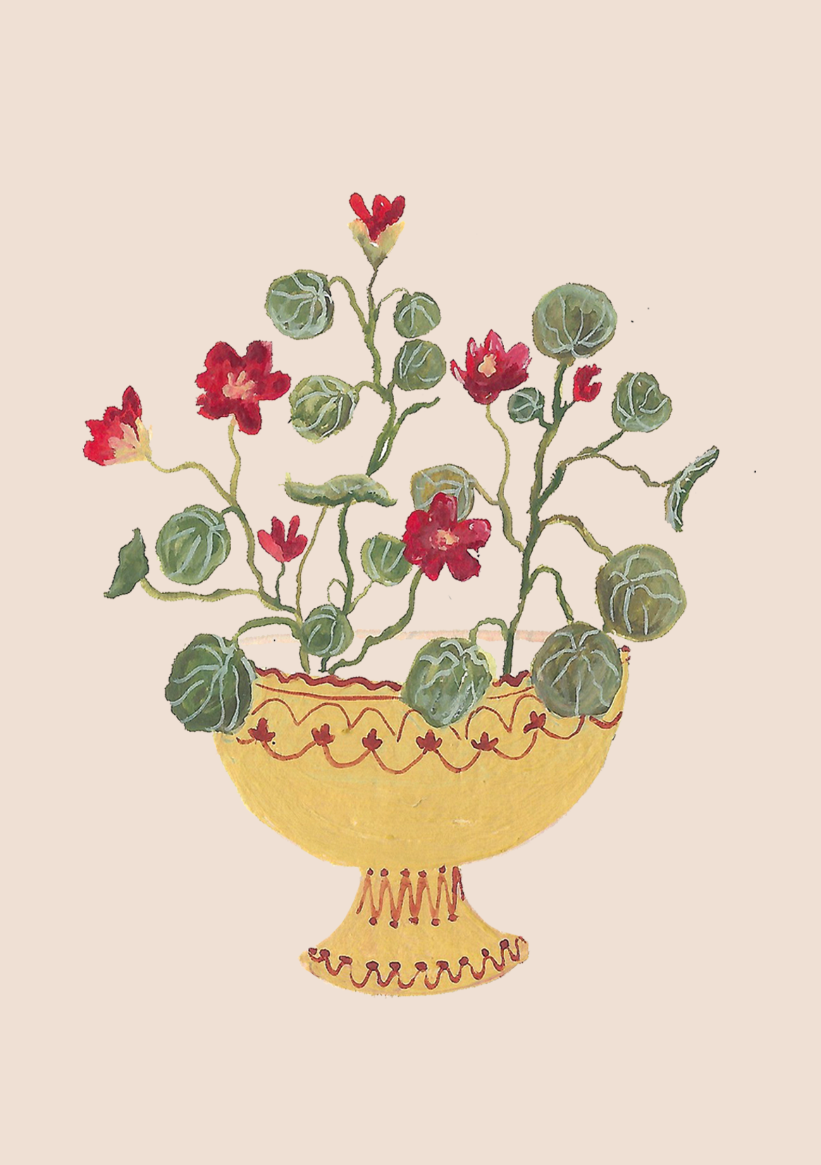 Nasturtium 'Crimson Emperor' mini card