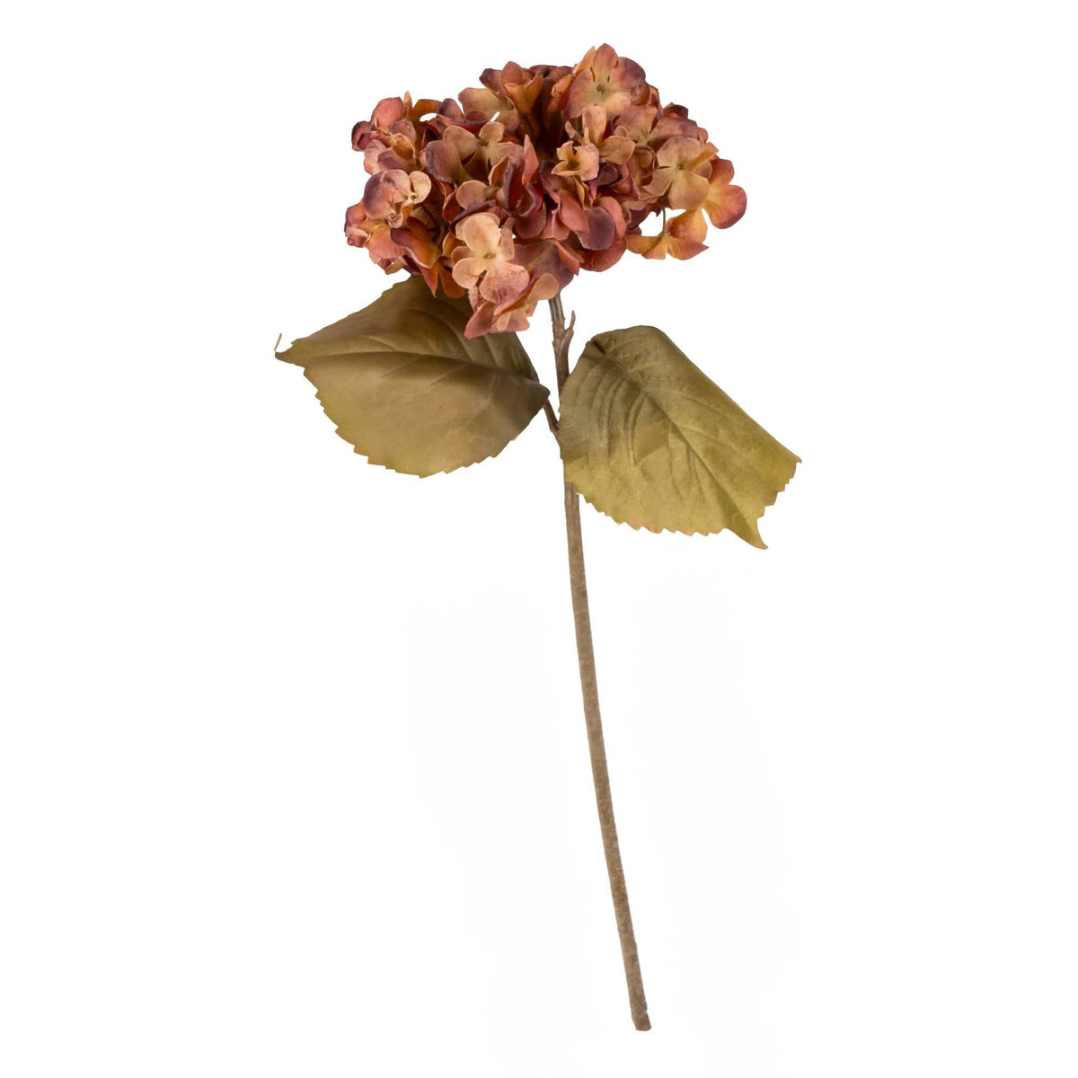 Vintage Style Hydrangea - Rust