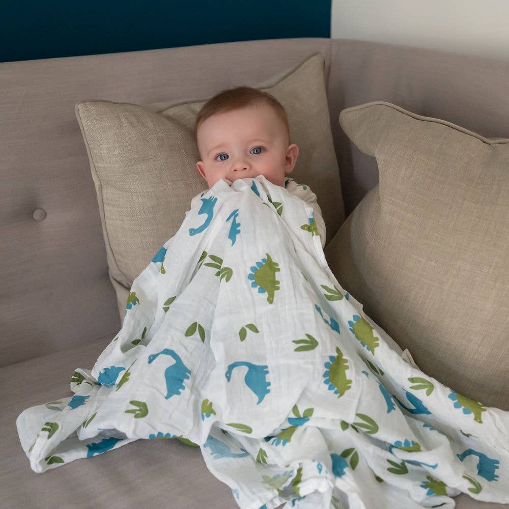 Dinosaurs Swaddle