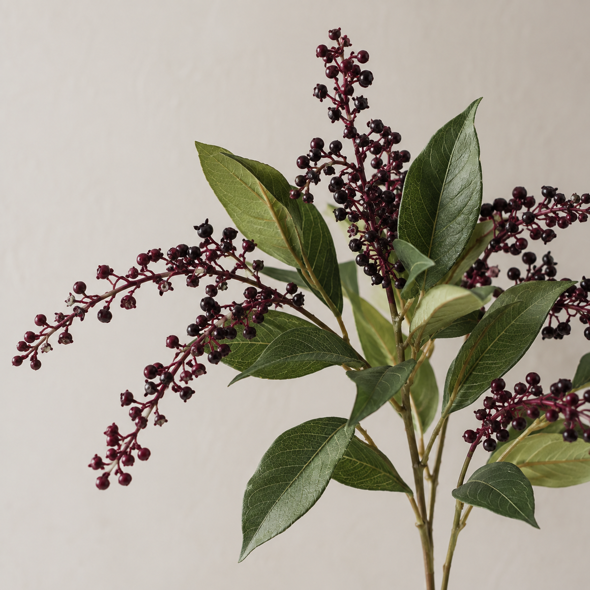 Burgundy Pokeweed Stem
