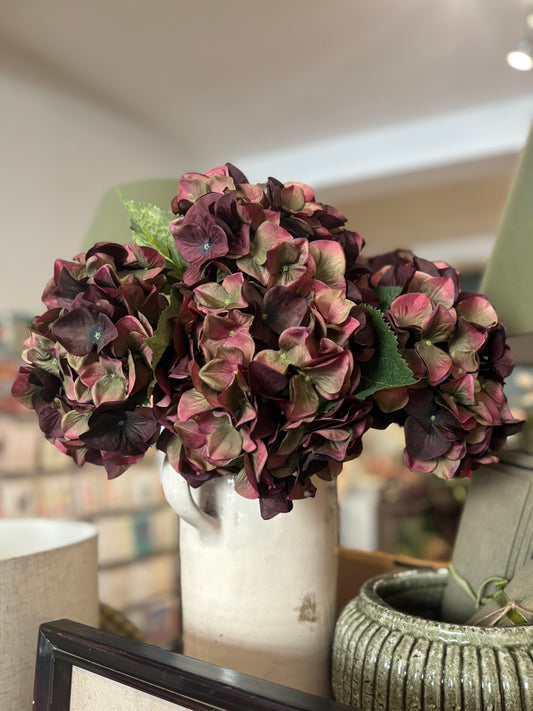 Fig and Olive Traditional Hydrangea with Leaves