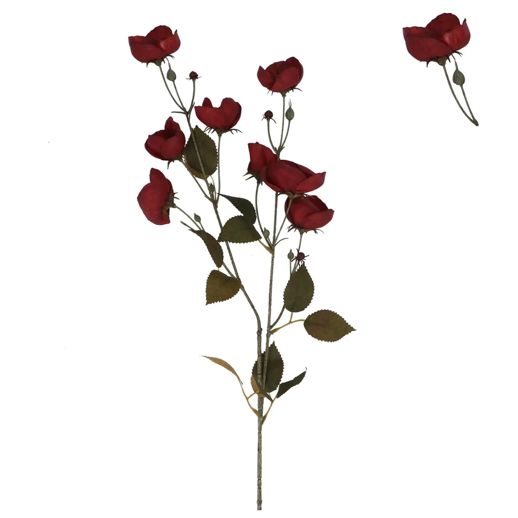 Burgundy Poppy Stem