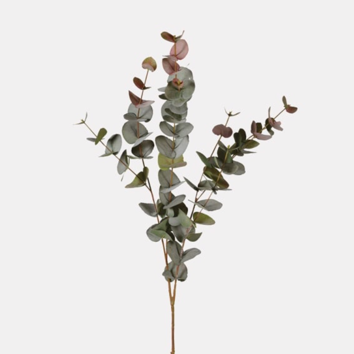 Natural Blush Eucalyptus Spray