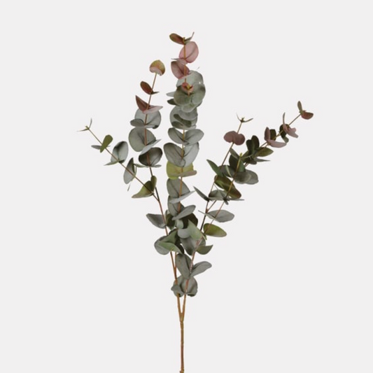 Natural Blush Eucalyptus Spray