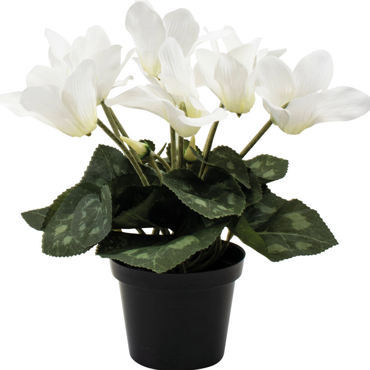 Faux Cyclamen