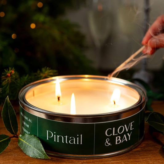 Clove & Bay Triple Wick