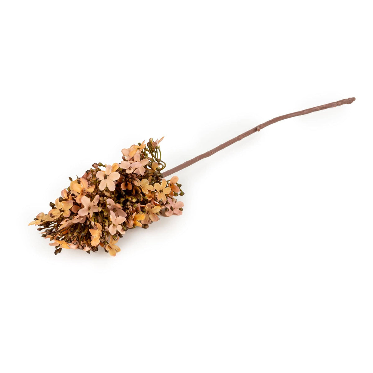 Single Hydrangea Rust Stem