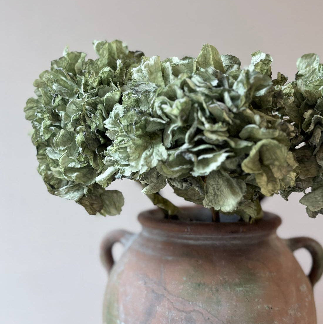 Vintage Hydrangea - Green