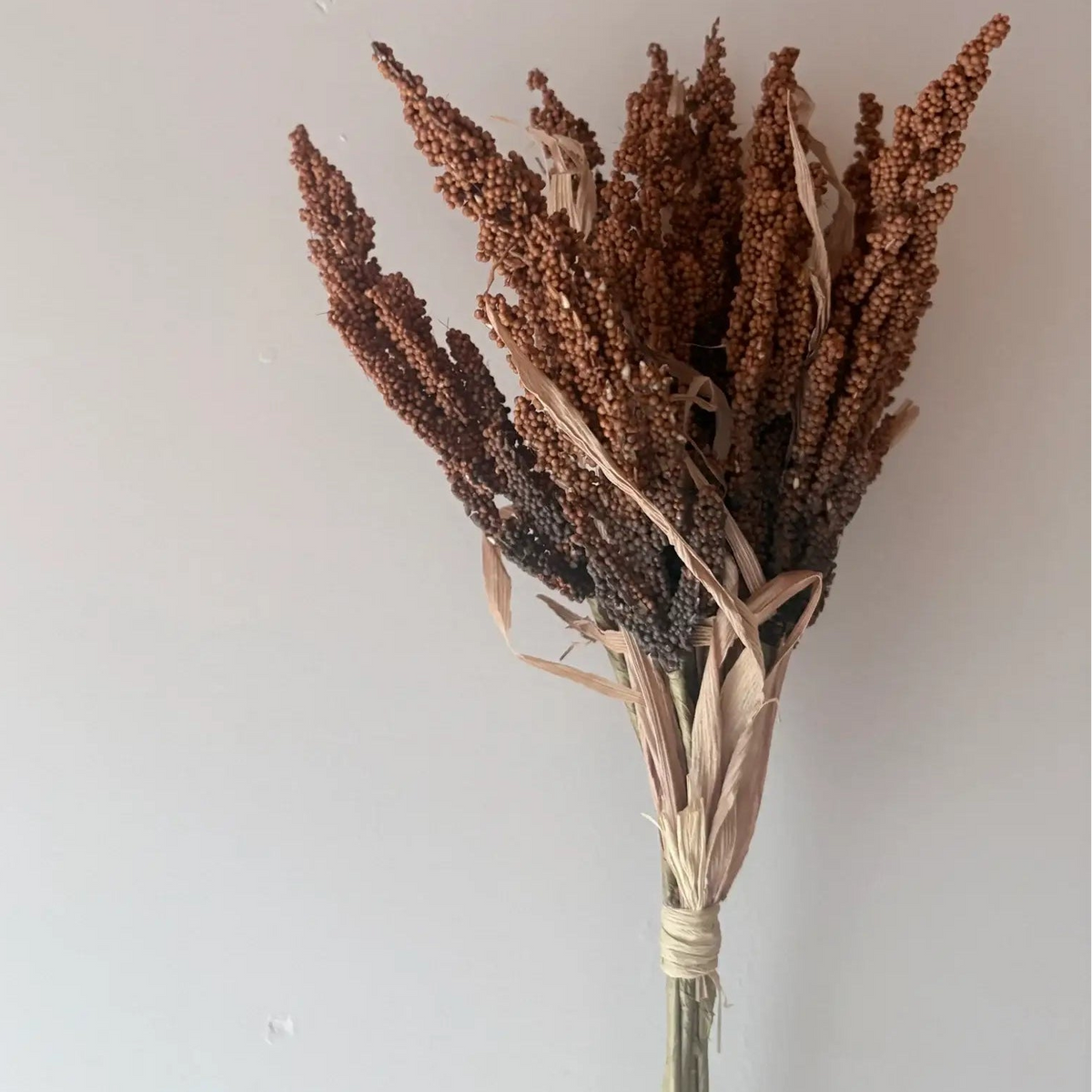 Wheat Bunch - Rust Orange