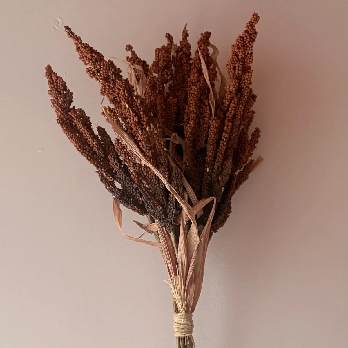 Wheat Bunch - Rust Orange
